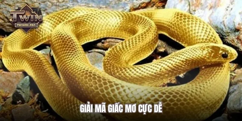 Giải mã giấc mơ cực dễ