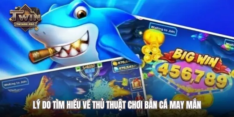 Lý do tìm hiểu về thủ thuật chơi bắn cá may mắn