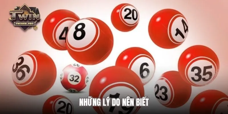 Những lý do nên biết