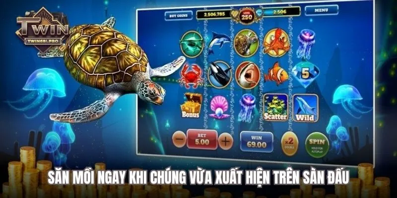 Săn mồi ngay khi chúng vừa xuất hiện trên sàn đấu