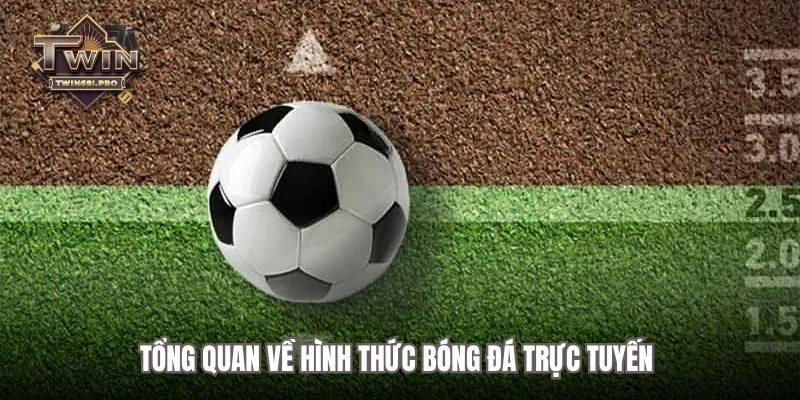 Tổng quan về hình thức bóng đá trực tuyến