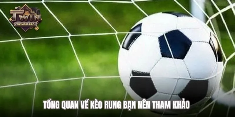Tổng quan về kèo rung bạn nên tham khảo
