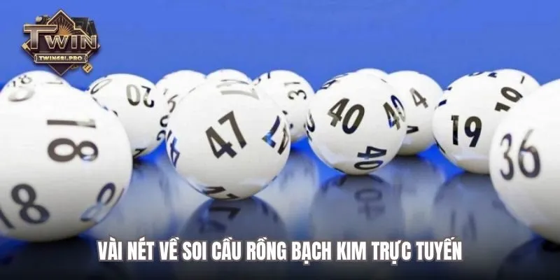 Vài nét về soi cầu rồng bạch kim trực tuyến
